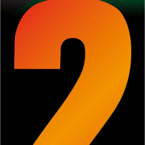 Adhesive Hi Vis Luminous Orange Wheelie Bin Number 2