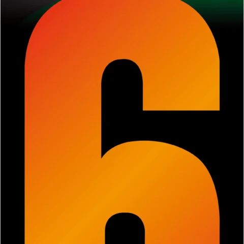 Adhesive Hi Vis Luminous Orange Wheelie Bin Number 6