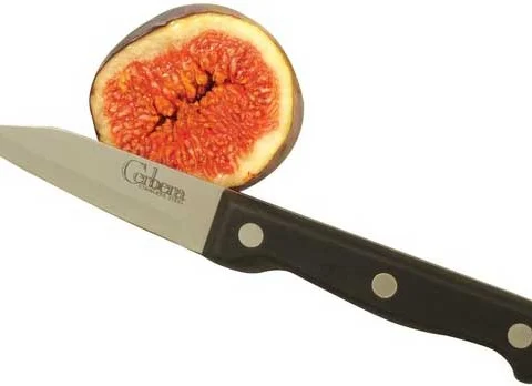 Apollo Cerbera Paring Knife 9cm