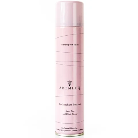 AROMEEQ BUCKINGHAM BOUQUET SHOT CAN AIR FRESHENER 300ML