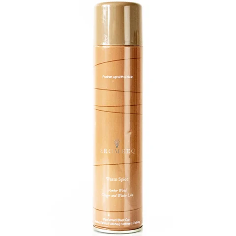 Aromeeq Warm Spice Shot Can Air Freshener 300ml