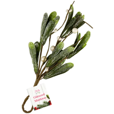 Christmas Glittered Mistletoe Hanging Decoration 23.5cm X 10cm