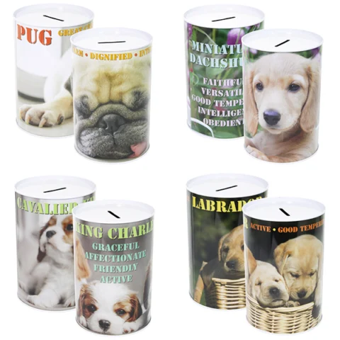 Dog Money Tin 10cm X 15cm Assorted