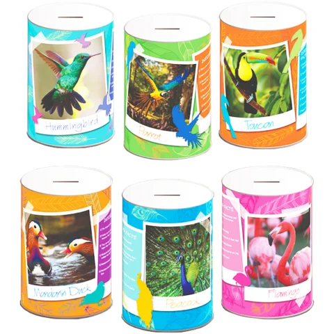 Exotic Birds Money Tin 145mm X 110mm Assorted
