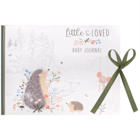 First Steps 26 Page 150GSM Baby Record Book