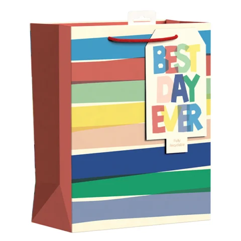 Giftmaker Best Day Ever Striped Gift Bag Large