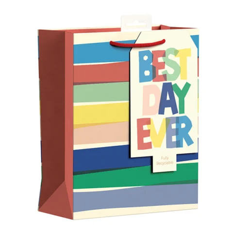 Giftmaker Best Day Ever Striped Gift Bag Medium