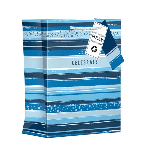 Giftmaker Celebrate Stripe Gift Bag Medium