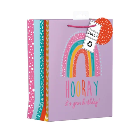 Giftmaker Hooray Birthday Rainbow Gift Bag Medium