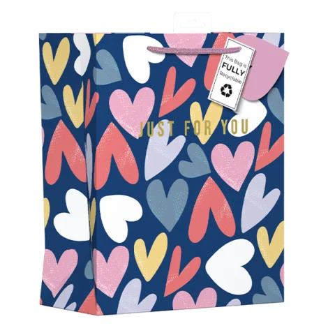Giftmaker Love Hearts Gift Bag Large