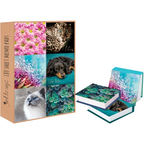 Just Stationery Photographic 180 Sheet Memo Blocks Assorted