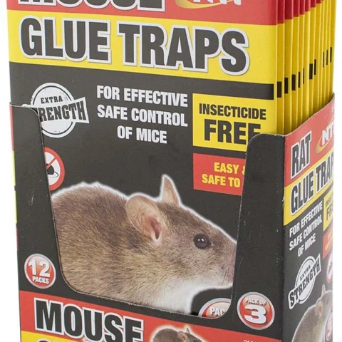 Mouse Glue Traps 3 Pack CDU