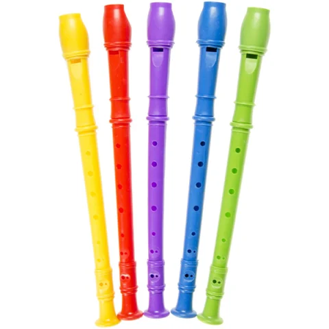 PP Musical Instrument Recorder 30cm Assorted Colours