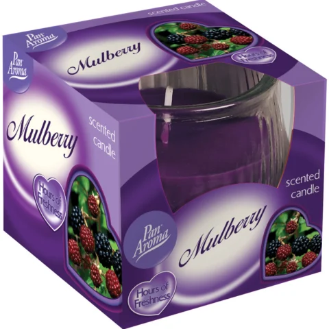 Scented Pot Candle - Mulberry