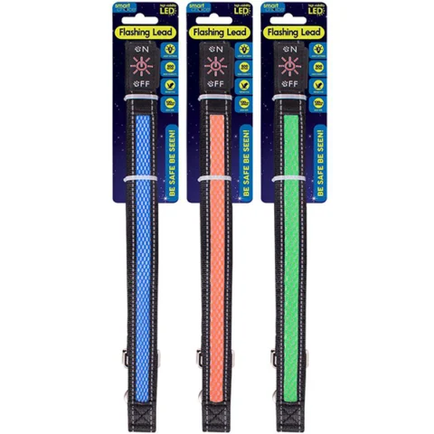 Smart Choice Flashing LED Dog Lead 120cm Assorted Colours
