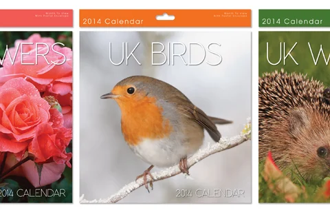 Square Calendar: Uk Nature Birds, Wildlife, Flowers