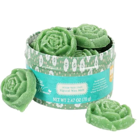 The Pioneer Woman Meadow Prairie Grass Figural Wax Melts 10 Pack 2.47oz